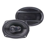 Nakamichi Coaxial Speakers NSE-6958